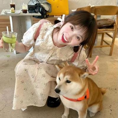 合约男女国语